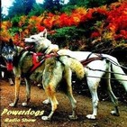 Powerdogs 8. El Hipervínculo con los líderes.