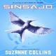 11.Sinsajo (Cap 24 y 25).