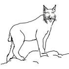 Catástrofe Ultravioleta 06 - LINCES