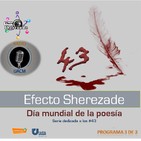Programa 50: Día mundial de la poesía (programa 3)