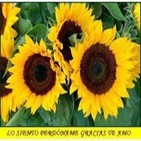 Espejo Mágico- Sana tu niño interior- Vivi Cervera