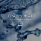 #871, reminiscencias de campos viejos