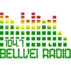Bellvei Ràdio - L'Informatiu - 30-4-13: 6es Jornades de la Penedesfera
