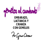 Episodio 9. Adolescencia, crisis de lactancia con gemelos y cortes de digestión.