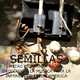 Micro Radial Semillas N° 9
