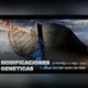 Modificaciones Geneticas