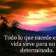 Terapias alternativas