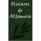 Intervención de Olivares de Altomira
