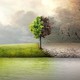 Cambio geoclimatico