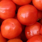 La dieta del verano