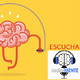 Episodio 33: Desarrollo pre-natal