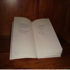 Elisabet Cincotta - poemas