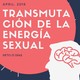 Día # 5: Aumentando la testosterona