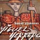 Museo de guadalajara: exposicion miguel herrero raices y esencias