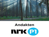 Morgenandakt 26.06.2017