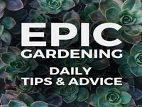 Succession Planting Tips