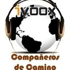 Compañeros de Camino