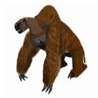 mapinguari/entrevistas