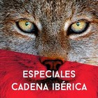 Especial 11m