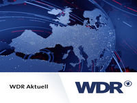 Vorwürfe gegen NRW-Umweltministerin