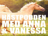 75. Silvertejp & flugor som nuppar
