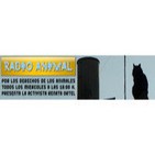 Radio Animal 2012-02-15