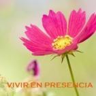 Tarot Evolutivo - Regreso a la Unidad