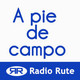 A pie de campo 23-04-18