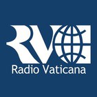 El Papa Francisco, hombre de discernimiento y de conocimiento del corazón. P. Ángel Rossi SJ