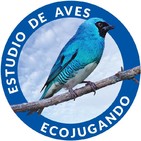 Ecojugando