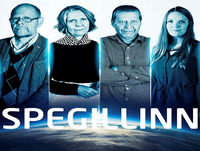 Spegillinn 23. júní 2017