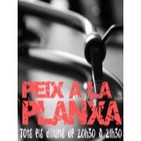 Peix a la Planxa 29