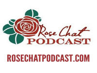 Susan Young | Restoration Roses