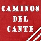 Aula de Flamenco.-