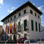 Ple ordinari 5-11-2015