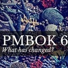 DDPP19 - Cambios PMBok 6e