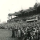 Tigers in the Grand Final