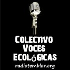 Podcast Radio Temblor: reportes especiales